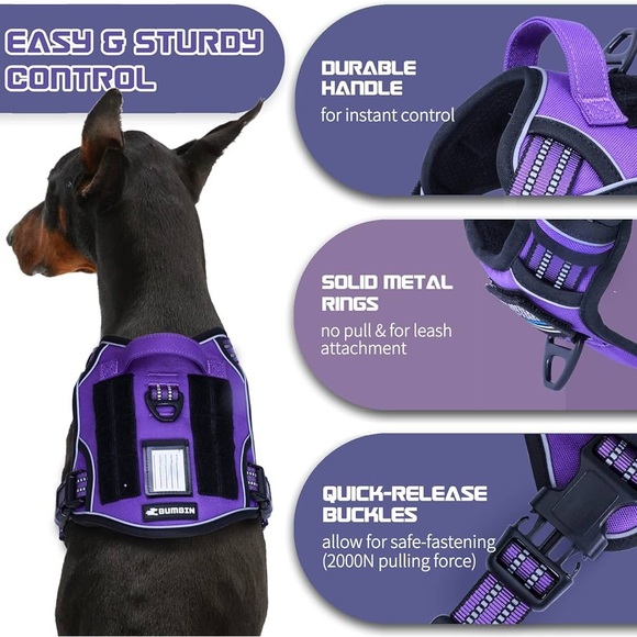 Purple dog harness - Picture 3 of 4